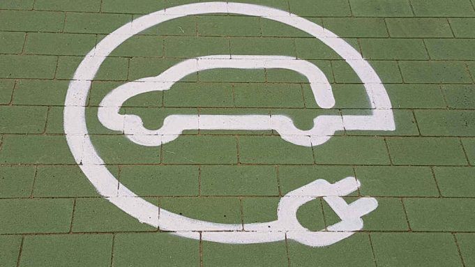 fenieidae_planmoves3