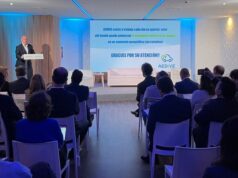 La movilidad eléctrica generaría más de 11.000 millones de euros anuales del PIB si se cumplen las previsiones del PNIEC