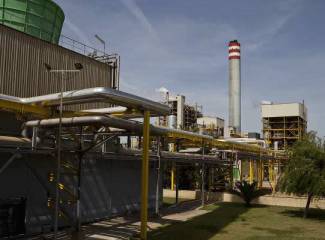 Acogen cree que el Gobierno debe hacer caso a la CNMC