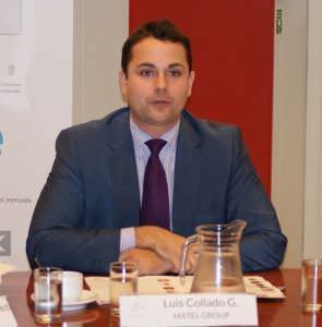 Luis Collado García-Margallo, Matel Group