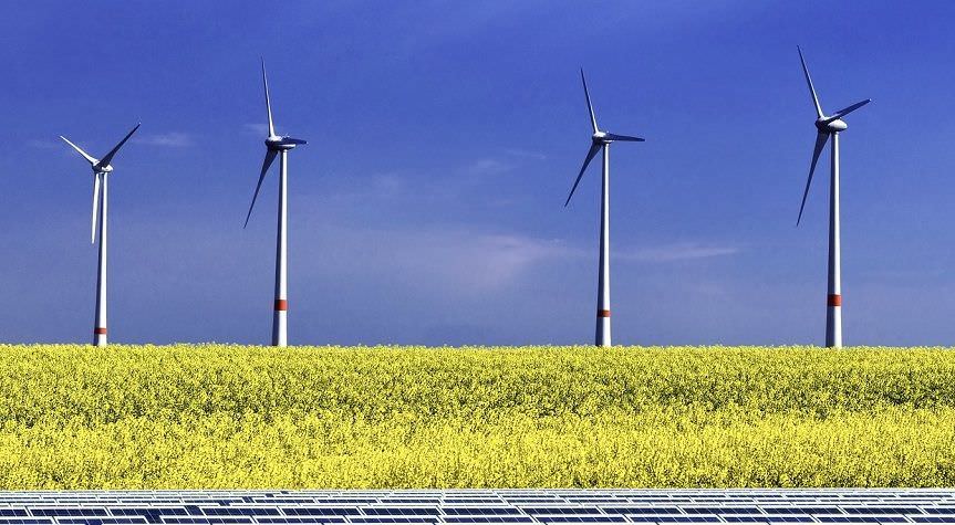 Trece asociaciones piden un sistema de subastas “objetivo, transparente, sencillo y competitivo”