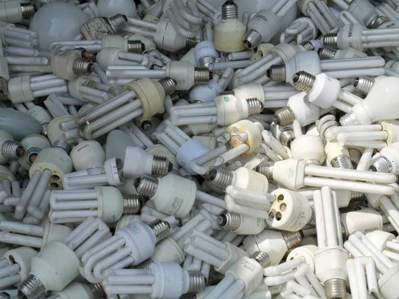 Ambilamp alcanza más de 10 años consecutivos de crecimiento