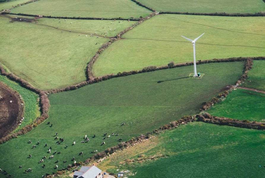 molino eólico aislado con vacas al lado