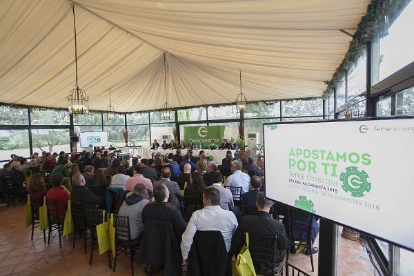 Asistentes a la Junta General de Accionistas de FENIE Energia