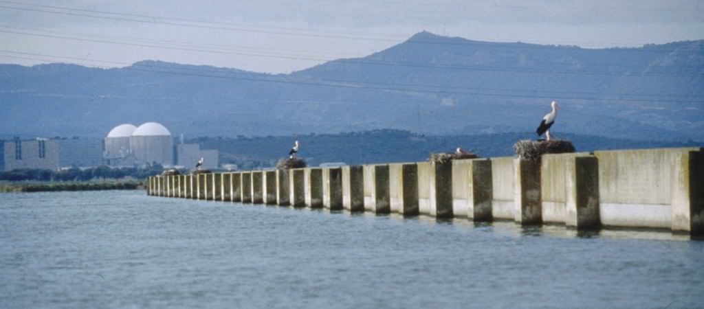 Controversia en torno a la fecha del apagón nuclear