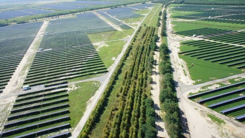 Segunda Edición del evento “Plantas Solares en España: desarrollo, financiación y futuro energético”