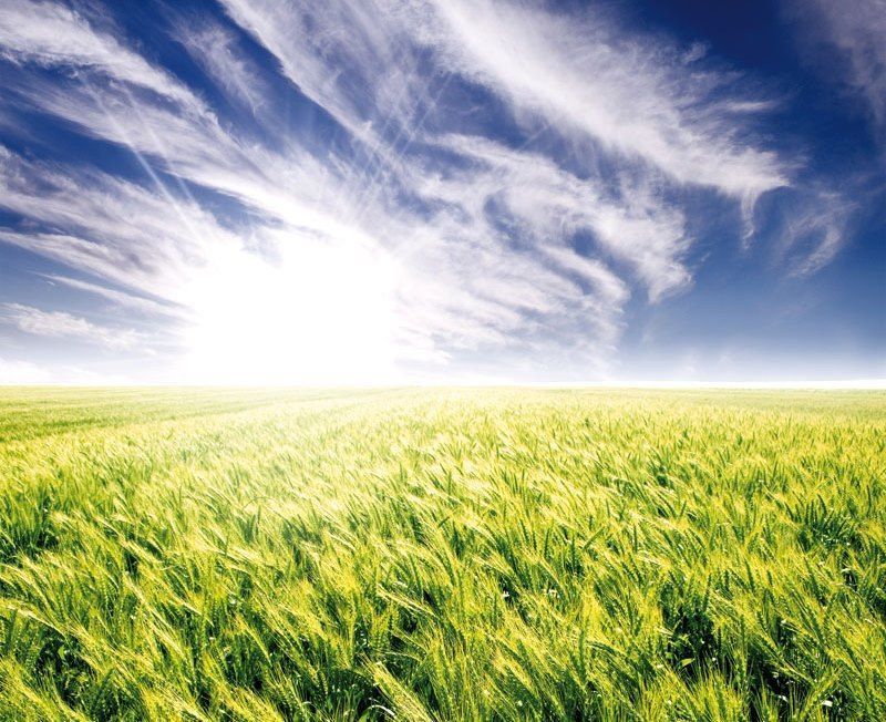 Feníe Energía es la comercializadora 100% verde que más energía suministra de España