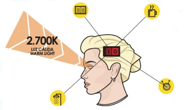 Efectos de la luz en el colegio: beneficios sociales, ambientales y económicos