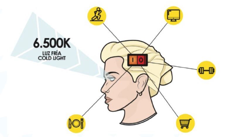 Efectos de la luz en el colegio: beneficios sociales, ambientales y económicos