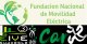 Se presenta oficialmente la Fundación Nacional de la Movilidad Eléctrica