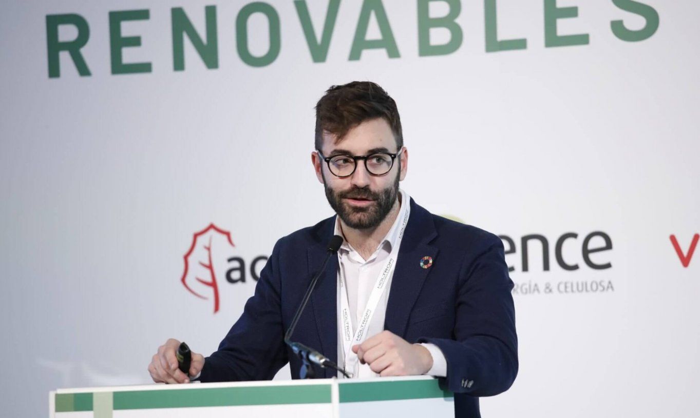 Joan Groizard, director general del IDAE