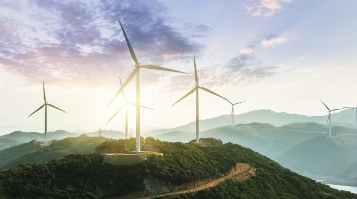 El 70 % de las grandes empresas se han fijado objetivos públicos en energía o sostenibilidad, un 25 % más que hace un año