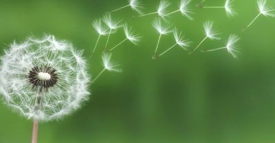 La Fundación de Feníe Energía estrena web para obtener mayor visibilidad