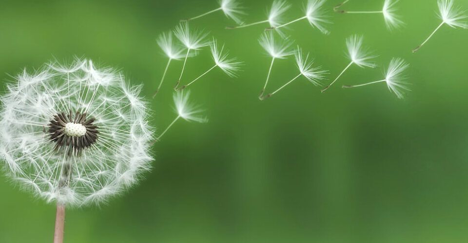 La Fundación de Feníe Energía estrena web para obtener mayor visibilidad