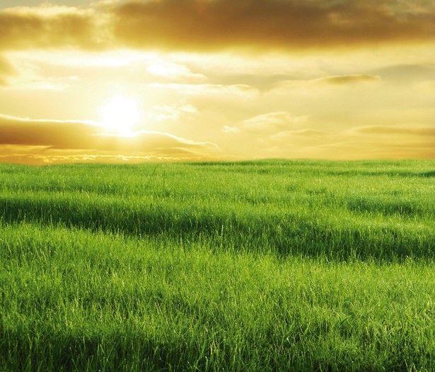 9 de cada 10 españoles optan por la energía verde cuando conocen sus beneficios ambientales