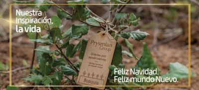 Prysmian Group apuesta por la sostenibilidad con la reforestación de sendos bosques en Barcelona y Tenerife