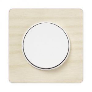 Schneider Electric celebra los 10 años de su gama de mecanismos Odace