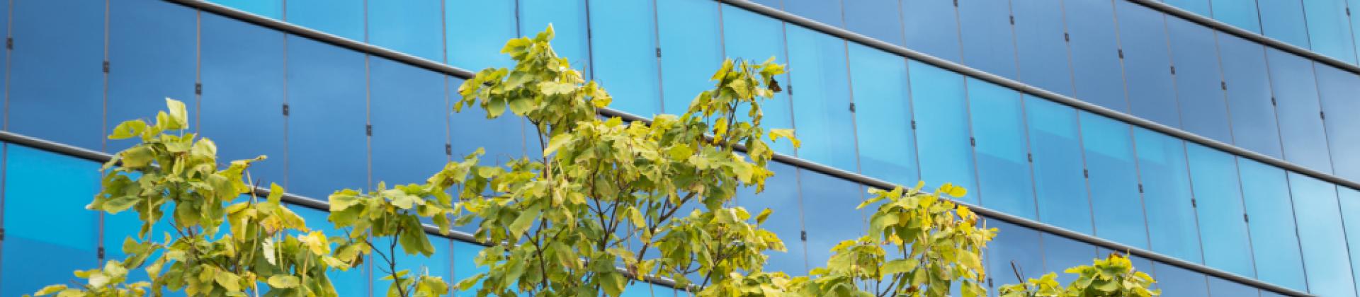 Nueva guía para la gestión de ayudas a la rehabilitación energética de edificios