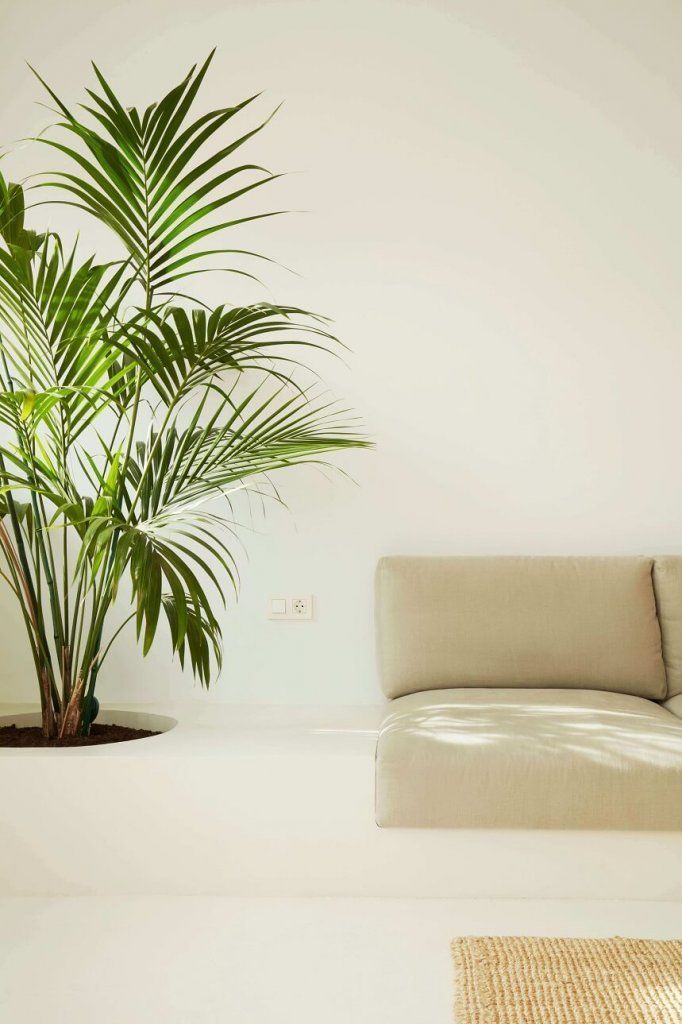 Simon 270 lleva a lo esencial la apuesta por el hogar conectado