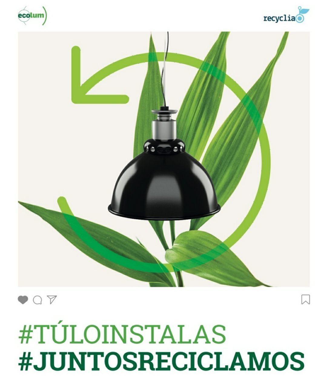 La Fundación Ecolum recuerda el compromiso con la sostenibilidad en el Día Mundial del Reciclaje