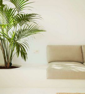 Cómo elegir bien la conectividad en el hogar