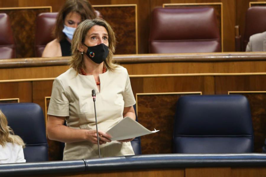 Teresa Ribera, en la sesión de control al Gobierno en el Congreso