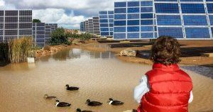 La eclosión renovable y los altos precios de la energía marcan el Día Mundial de la Energía