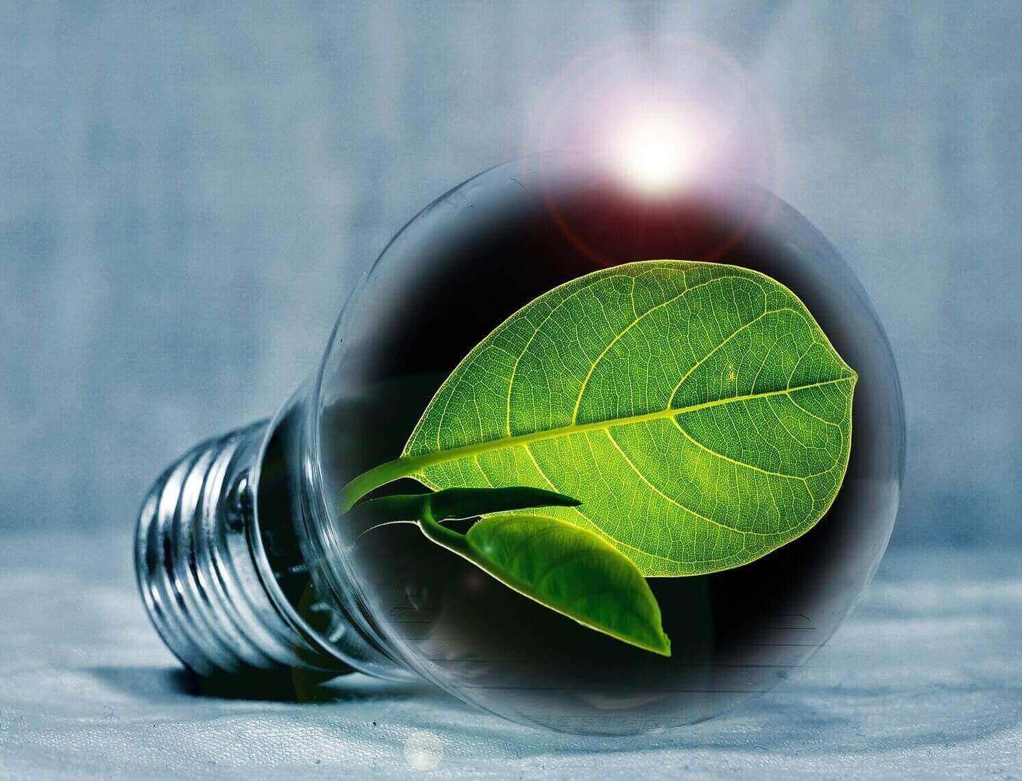 La “energía verde” comercializada en España aumentó un 12 % durante el año 2021