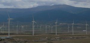 La AEE reclama “agilizar los trámites de permisos para las renovables para cumplir con los objetivos españoles y europeos”