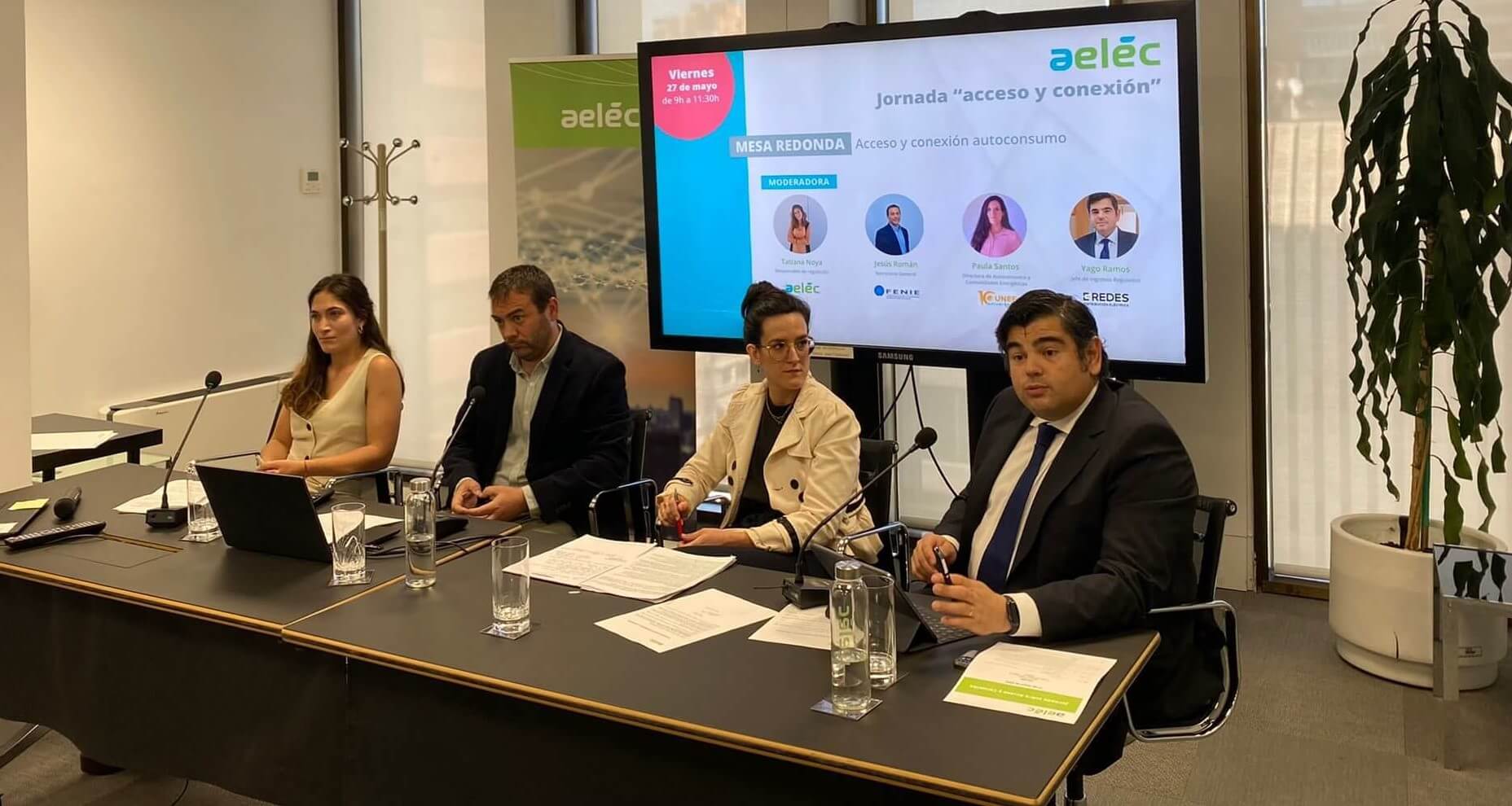 Las claves de la incorporación de las renovables y el autoconsumo a la red eléctrica