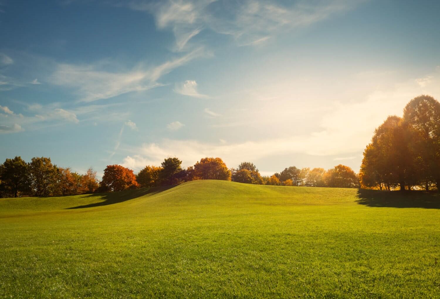 Ledvance apuesta por la sostenibilidad para ser más verde