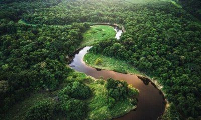 “Ha llegado el momento de abordar el lado de la demanda de la transición energética”, advierte Schneider Electric
