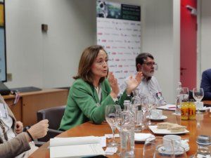 En primer plano, Isabel del Olmo, jefa de Movilidad Sostenible del IDAE