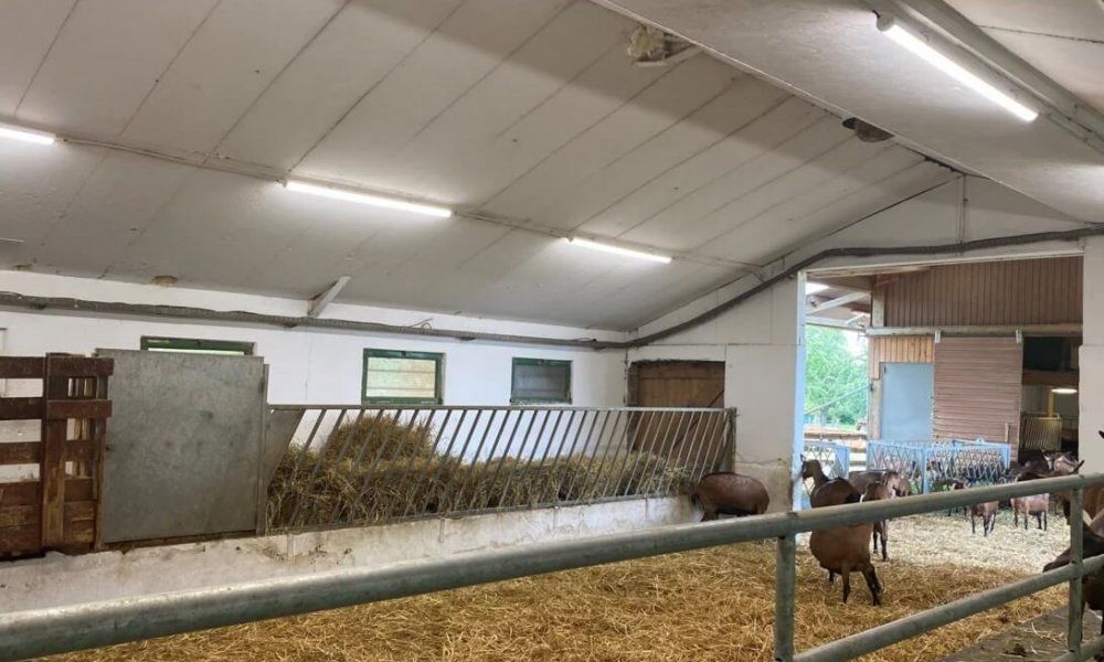 Ledvance mejora las condiciones lumínicas de una instalación agrícola en Francia