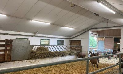 Ledvance mejora las condiciones lumínicas de una instalación agrícola en Francia