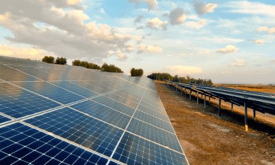 ID Energy Group y Feníe Energía obtienen el certificado de finalización de construcción para 4 de sus 11 parques solares