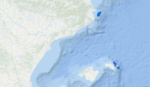 Demarcación levantino-balear