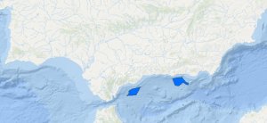 Demarcación sudantlática y del Estrecho y Alborán