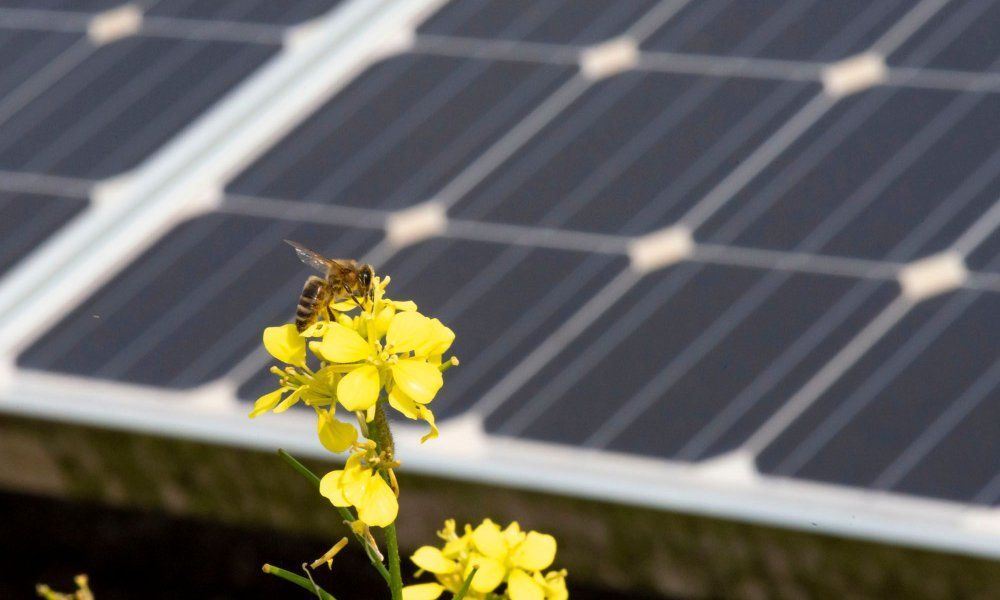 España supera los 8.300 MW de instalación renovable y bate el récord histórico