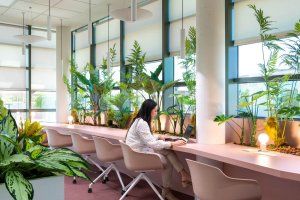 Las nuevas oficinas de Chint Electric División Sur, “un espacio moderno, amable y flexible”