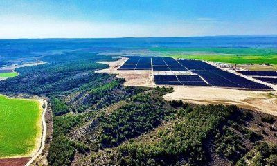 Se endurece la Declaración de Impacto Ambiental para la tramitación de proyectos renovables