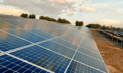 7 propuestas del sector fotovoltaico nacional a los partidos políticos para asegurar la transición energética