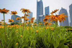 Ledvance presenta su primer informe de sostenibilidad con más de una veintena de iniciativas “verdes”