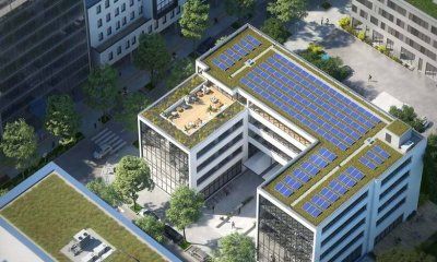 Instalar placas solares sobre una cubierta verde puede incrementar hasta un 3,6 % su producción de energía