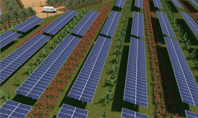 Sens une producción energética y agrícola en un nuevo parque fotovoltaico de Sicilia