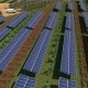 Sens une producción energética y agrícola en un nuevo parque fotovoltaico de Sicilia