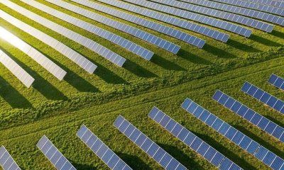 El sector de la energía solar empleó en 2022 a 197.383 personas en España