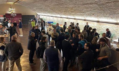 Grupo Noria presenta las últimas novedades en energía solar y almacenamiento en Cavas Codorníu