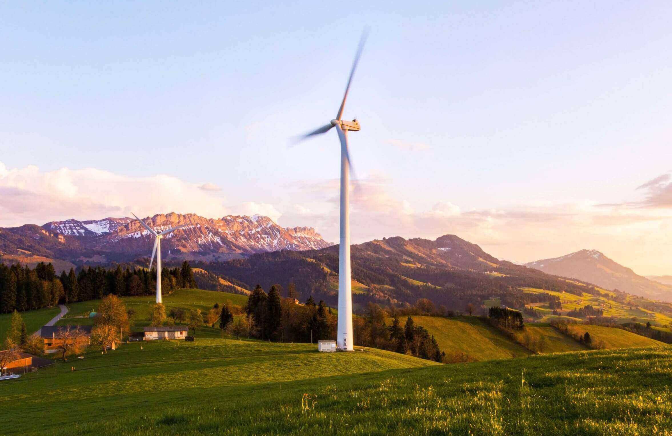 Greenpeace exige prohibir las malas prácticas en la implantación de energías renovables