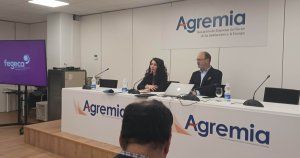 Fegeca anuncia que las ventas de calderas murales descendieron un 25 % en 2023